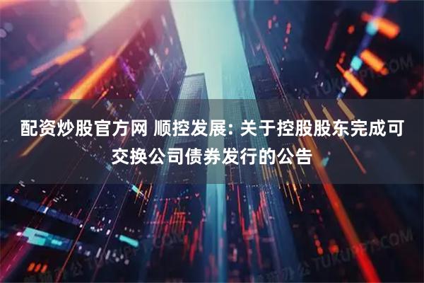 配资炒股官方网 顺控发展: 关于控股股东完成可交换公司债券发行的公告